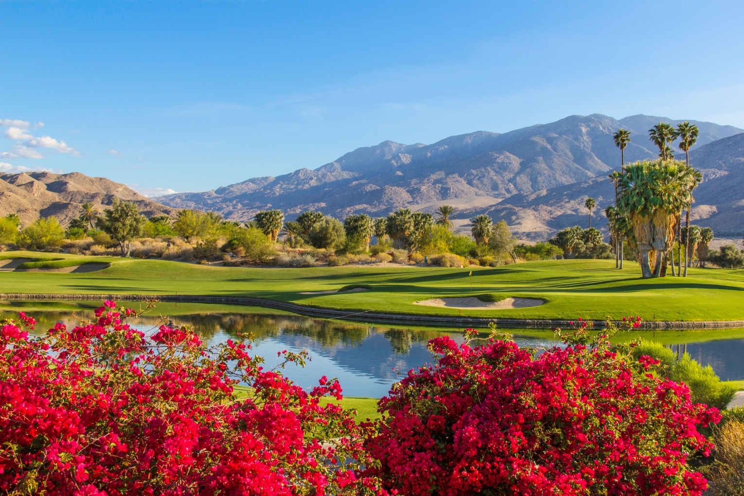 golf field with flowers